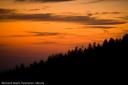 Firs & Sunset, Clingmans Dome