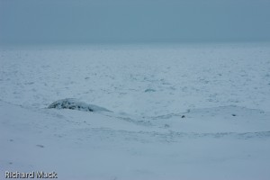 Ice Pack, Lake Michigan
