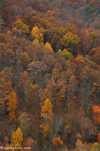 Great Smoky Mountains National Park: Thirty Years of American Landscapes