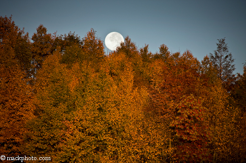 Great Smoky Mountains National Park: Thirty Years of American Landscapes