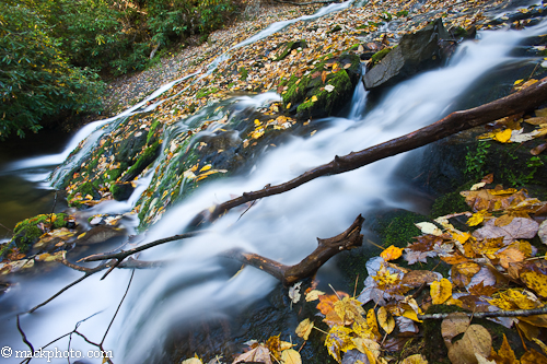 Great Smoky Mountains National Park: Thirty Years of American Landscapes