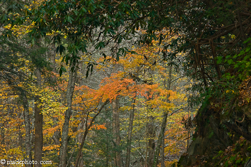 Great Smoky Mountains National Park: Thirty Years of American Landscapes