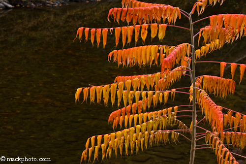 Great Smoky Mountains National Park: Thirty Years of American Landscapes