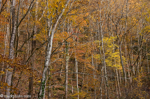 Great Smoky Mountains National Park: Thirty Years of American Landscapes