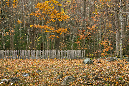 Great Smoky Mountains National Park: Thirty Years of American Landscapes