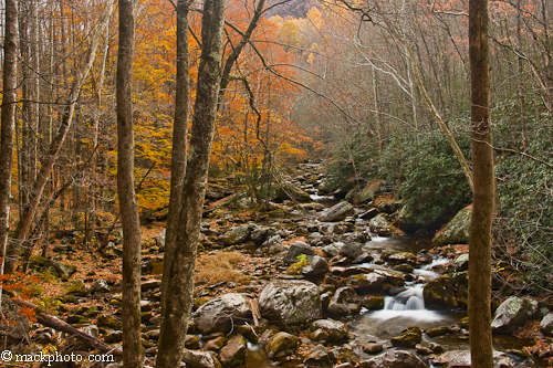 Great Smoky Mountains National Park: Thirty Years of American Landscapes