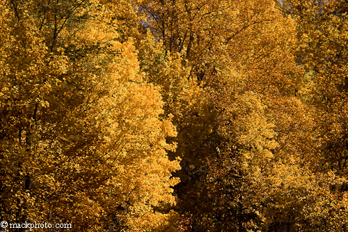 Great Smoky Mountains National Park: Thirty Years of American Landscapes