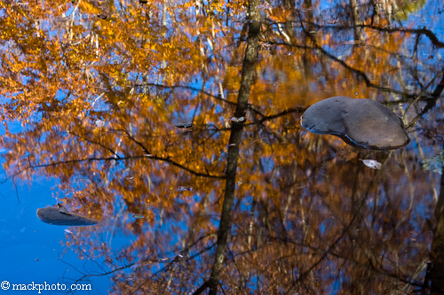 Great Smoky Mountains National Park: Thirty Years of American Landscapes