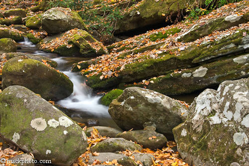 Great Smoky Mountains National Park: Thirty Years of American Landscapes