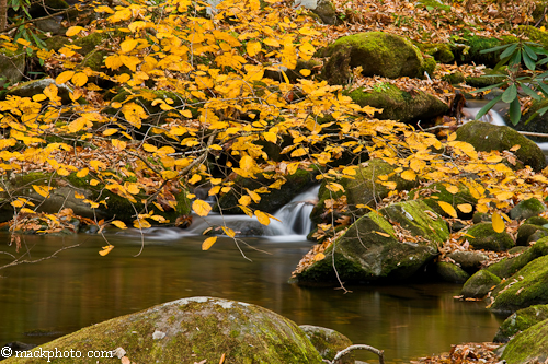 Great Smoky Mountains National Park: Thirty Years of American Landscapes