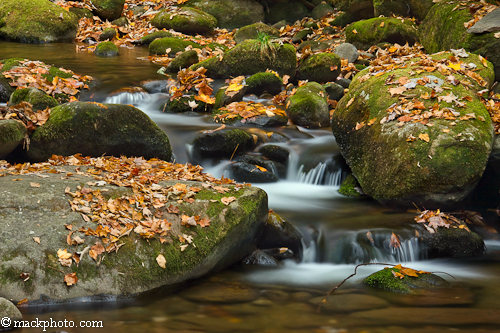 Great Smoky Mountains National Park: Thirty Years of American Landscapes