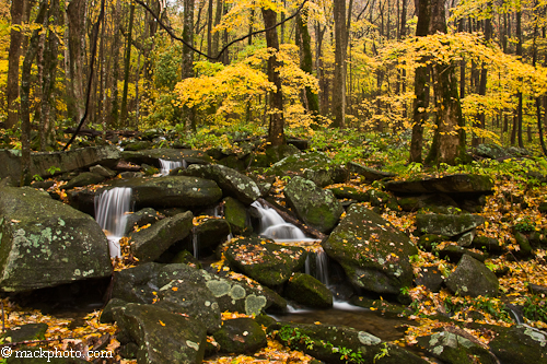 Great Smoky Mountains National Park: Thirty Years of American Landscapes