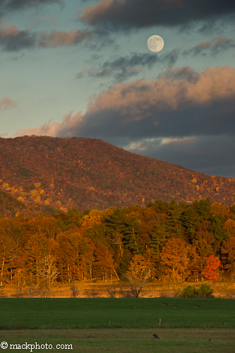 Great Smoky Mountains National Park: Thirty Years of American Landscapes