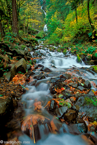 The Lewis & Clark Trail American Landscapes