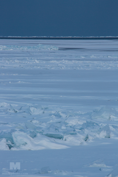 Lake Michigan winter