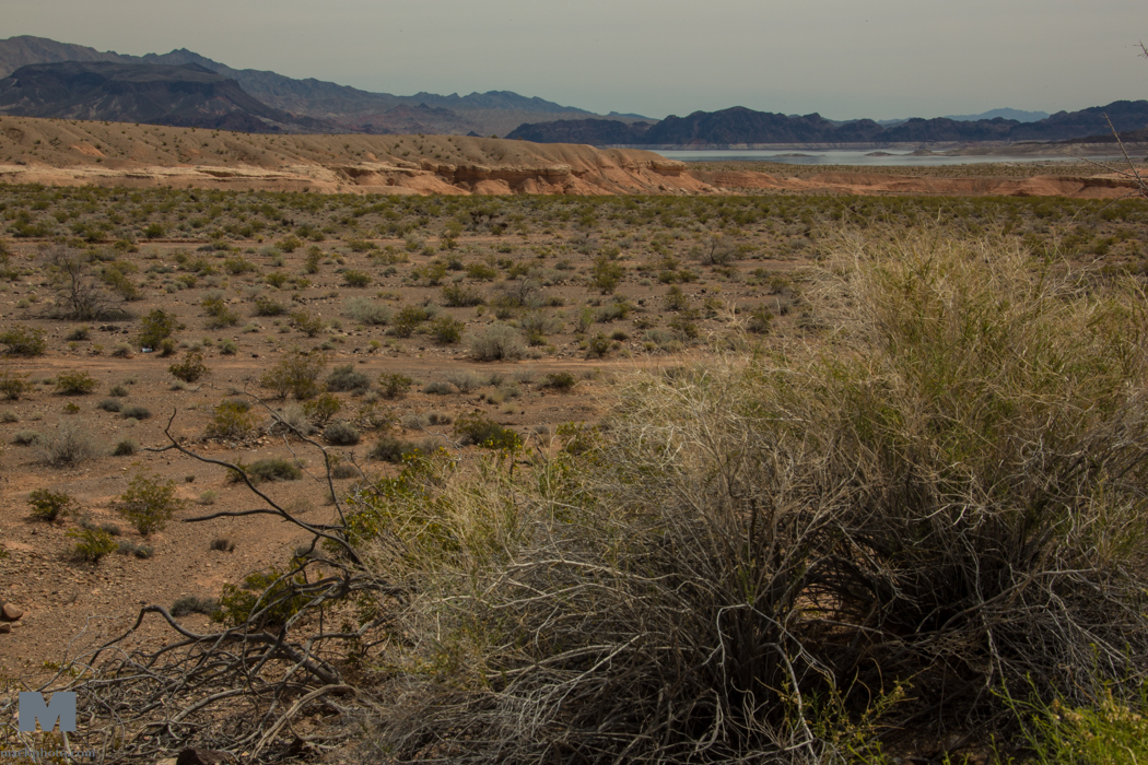 Lake Mead 20150406-0187