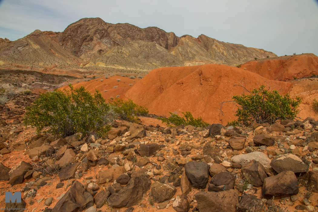 Lake Mead 20150406-0284