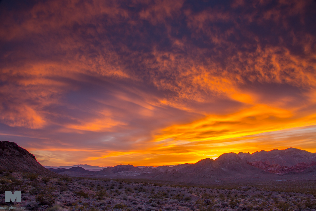 Lake Mead 20150406-0767