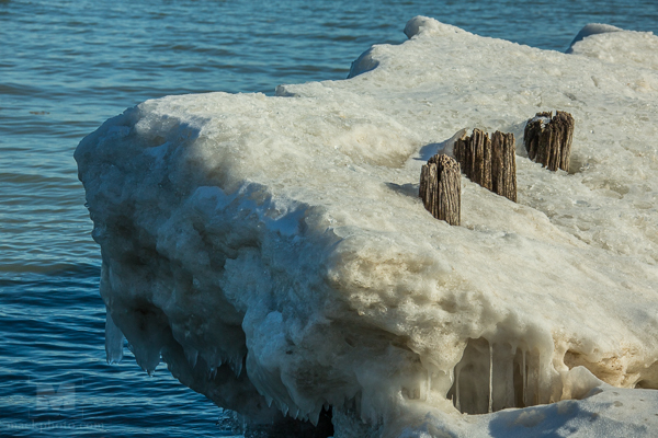 December 28, 2013, Lighthouse Beach