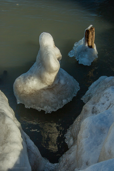 December 28, 2013, Lighthouse Beach