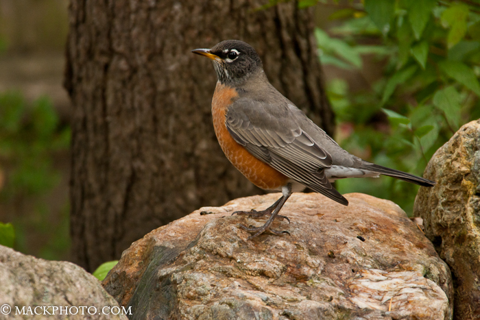 Pond 20111018-0013