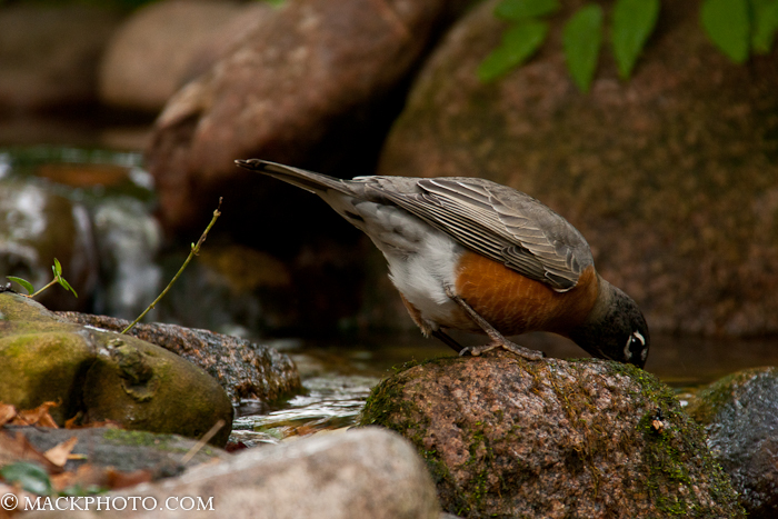 Pond 20111018-0044