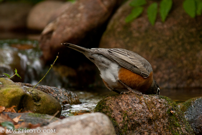 Pond 20111018-0047