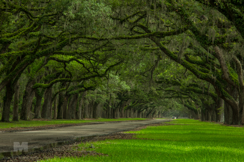 Savannah, Georgia