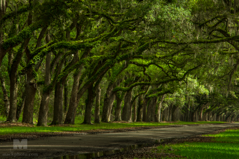 Savannah, Georgia