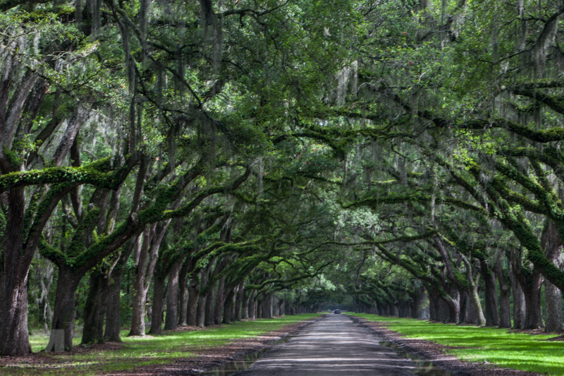 Savannah, Georgia