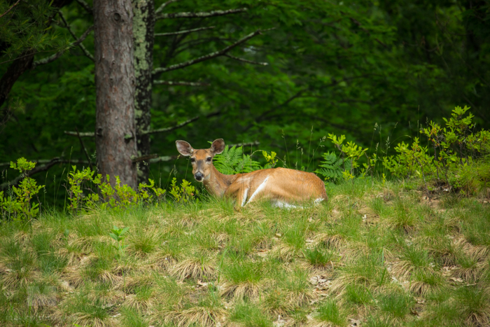 Sleeping Bear Dunes National Lakeshore, Lake Michigan